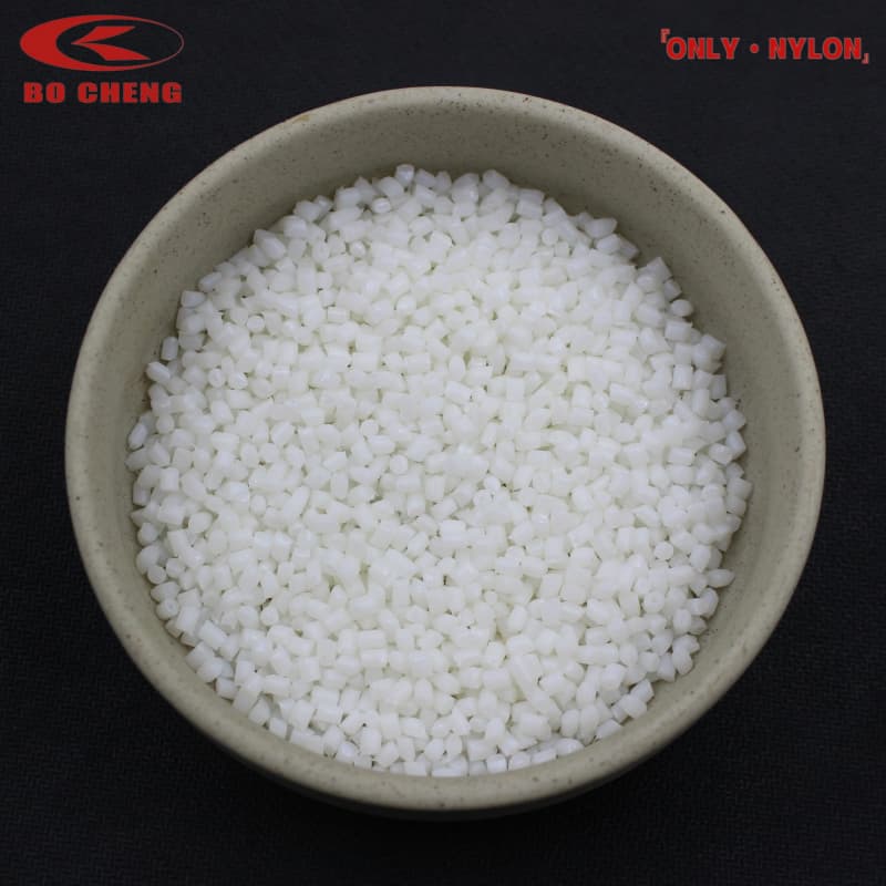 Reinforced Polyamide 6